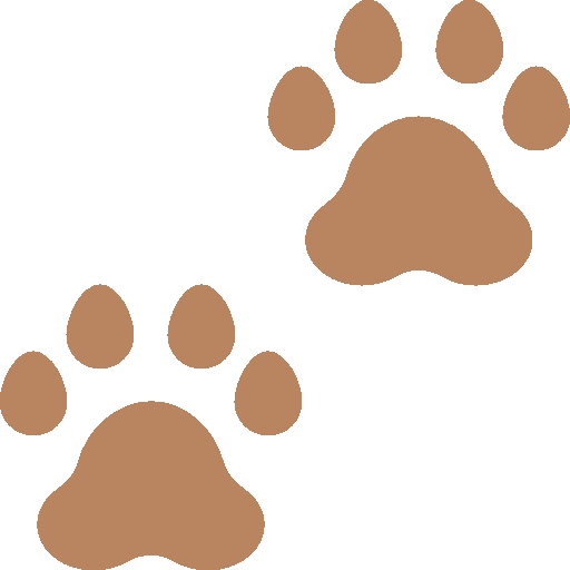 Pet Friendly Wellington Central, New Zealand